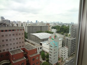 View from higher floor 