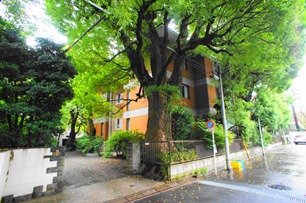 Ichibanchi House 
