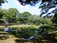 Yoyogi Park