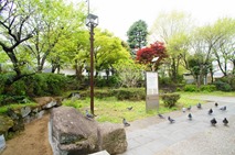 Park in Roppongi