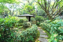 Japanese garden