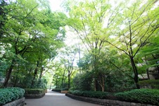 Hiroo Garden Hills 