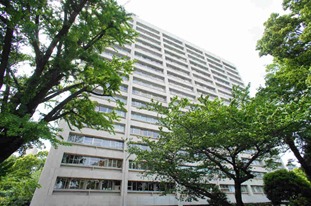 Hiroo Towers