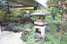 Japanese Garden