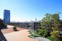 Roof Terrace