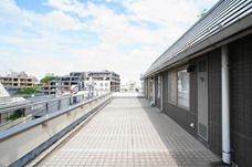 Roof terrace