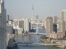 View - Tokyo Sky Tree