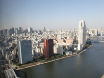 View - Sumida River