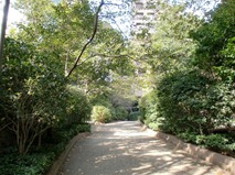Walk path shiroyama garden