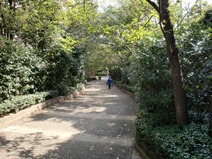 Walk path shiroyama garden