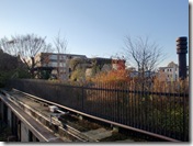 Roof Patio 3