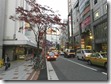 Neighborhood 6