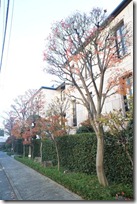 Palais Royal Shoto Apartment Rent Tokyo