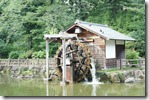 Nabeshima Shoto Park Pond 3