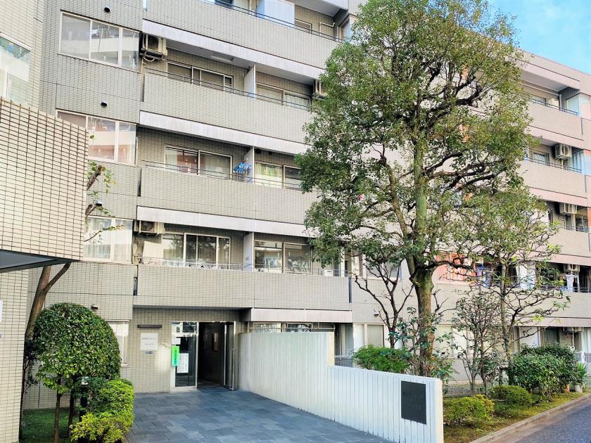 Nishishinjuku Forest Annex Luxury Apartment for Rent in Shinjukuku