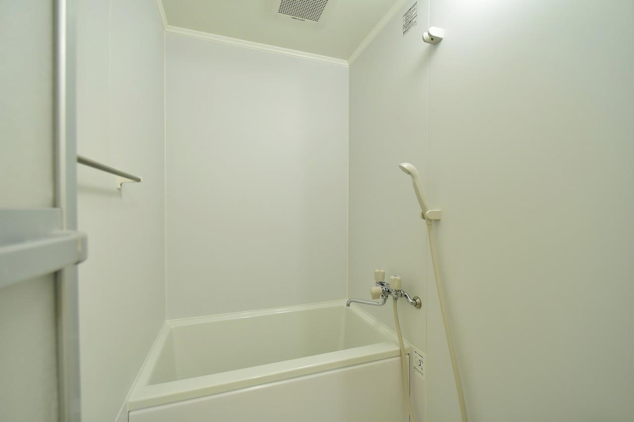 Delica Building Luxury Apartment for Rent in Minatoku, Tokyo PLAZA