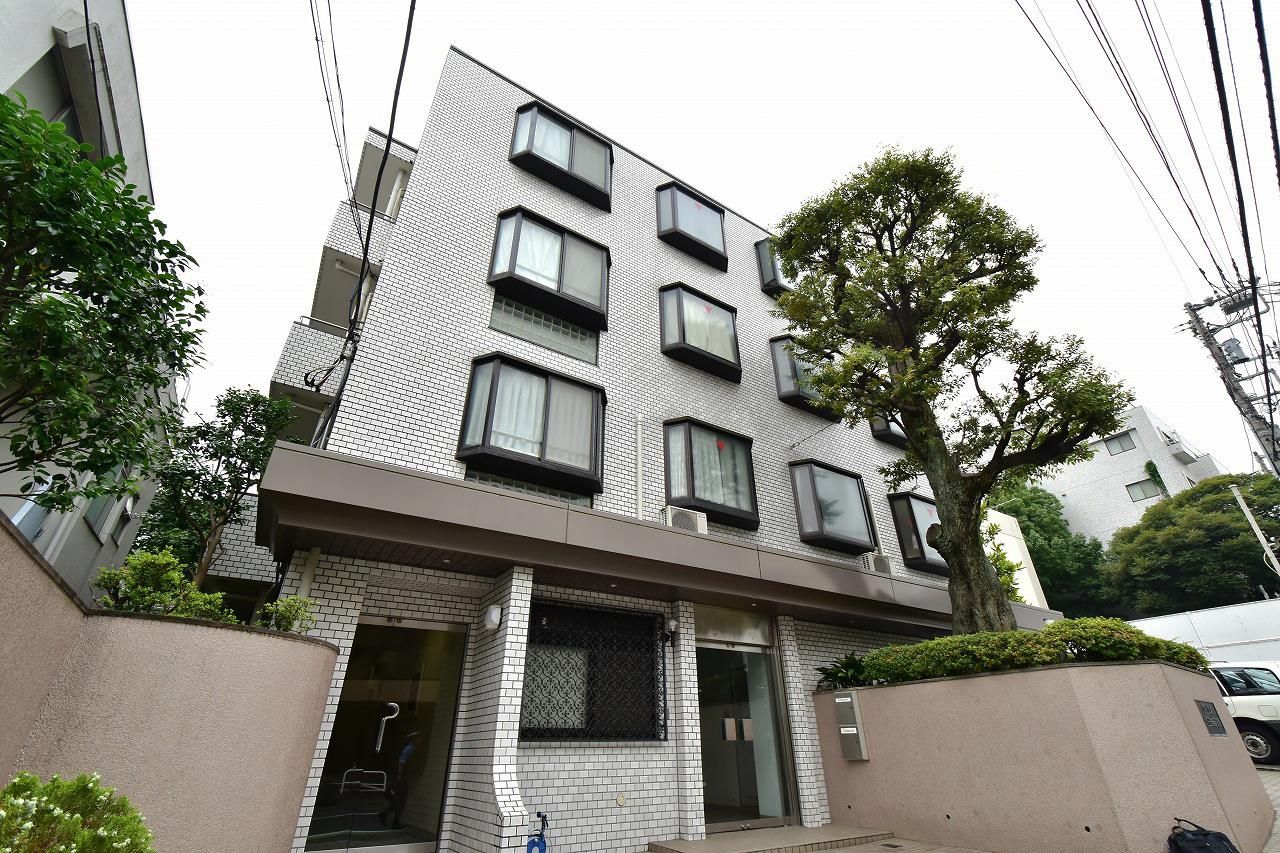Delica Building Luxury Apartment for Rent in Minatoku, Tokyo PLAZA