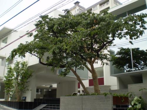 Exterior of Serezo Seijo
