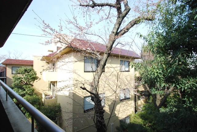 神山アンバサダー　Ⅱ