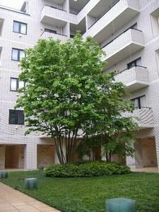 Park House Nishiazabu