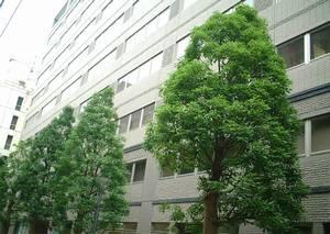 虎ノ門法曹ビル