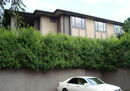 Exterior of Sogo Heights No. 8