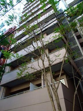 Exterior of Jardin Meguro