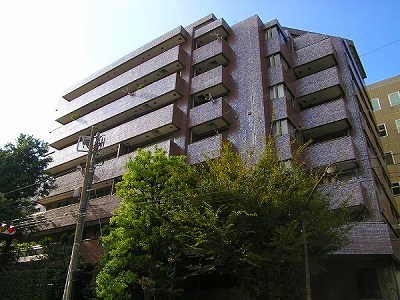 Exterior of Ichibancho 18 Park Mansion 3F